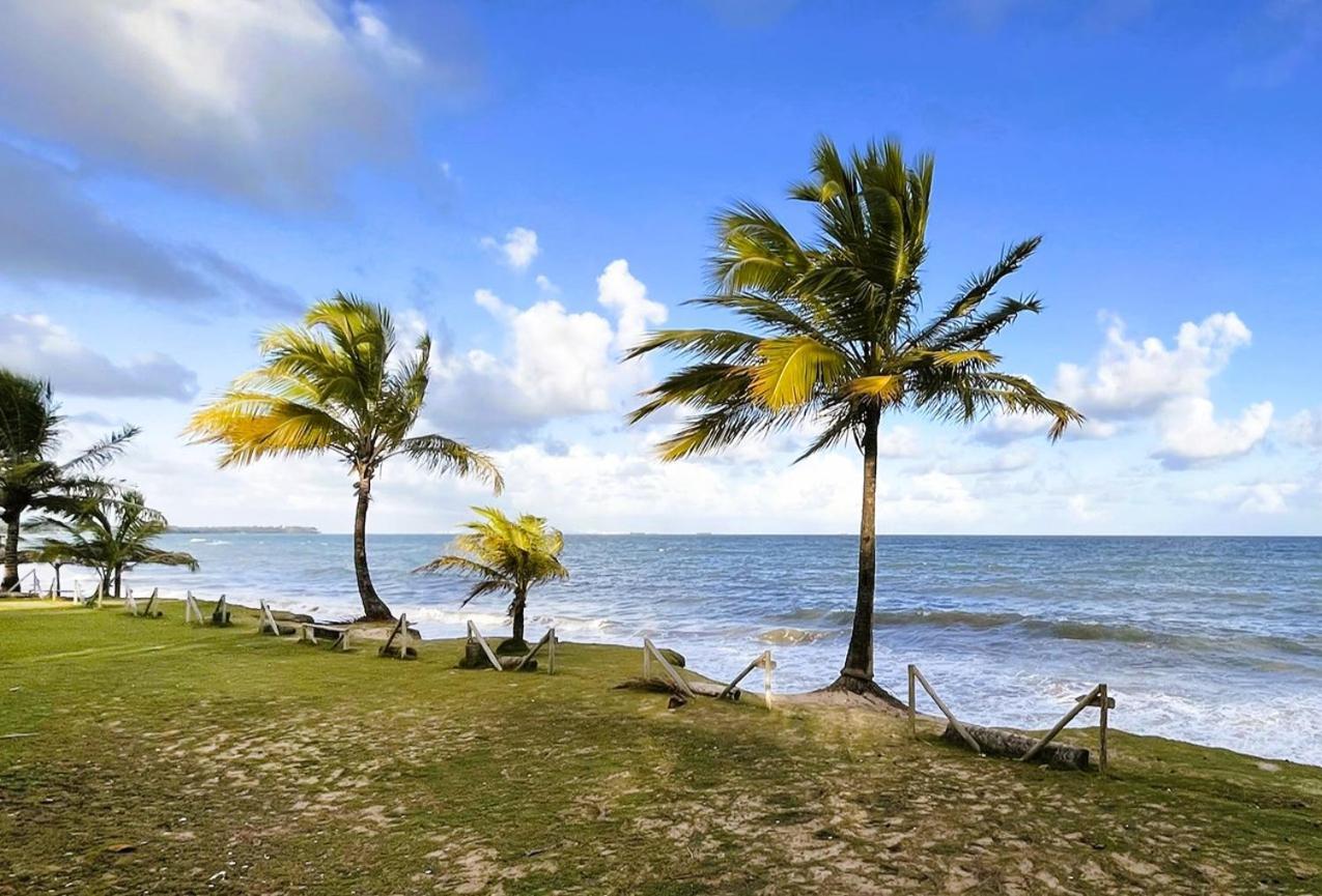 Alma Tropical Mini Resort Vera Cruz de Itaparica Extérieur photo